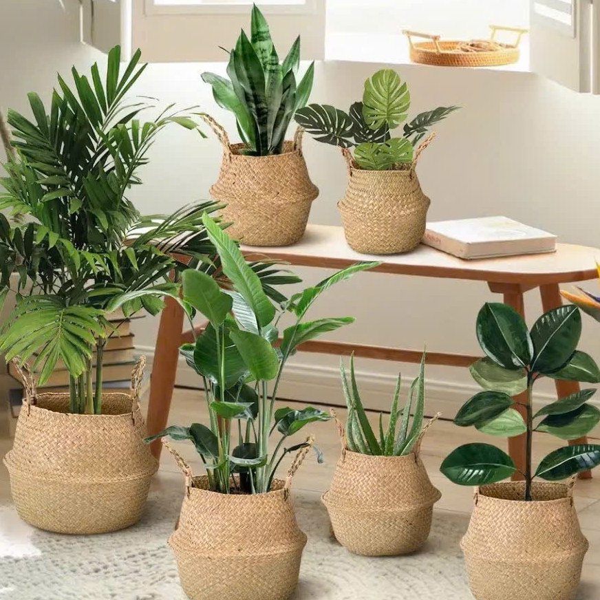 Giỏ cói đựng đồ, trồng cây cảnh ( để Free ship CHAT ngay với người bán)