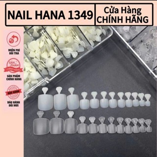 Móng Úp Chân HSM Chính Hãng Dạng Vỉ - Hộp 504 Móng Úp Chân Chuẩn Form Mỏng, Bền - Nail HANA1349