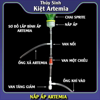 Nắp bình ấp Artemia