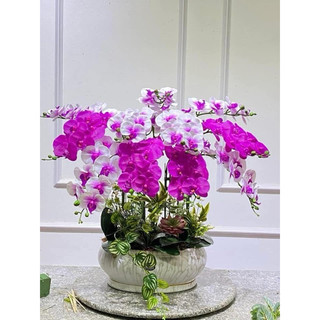 hoa lan đẹp- HOA GIẢ,HOA LỤA Lan cao su 9 bông