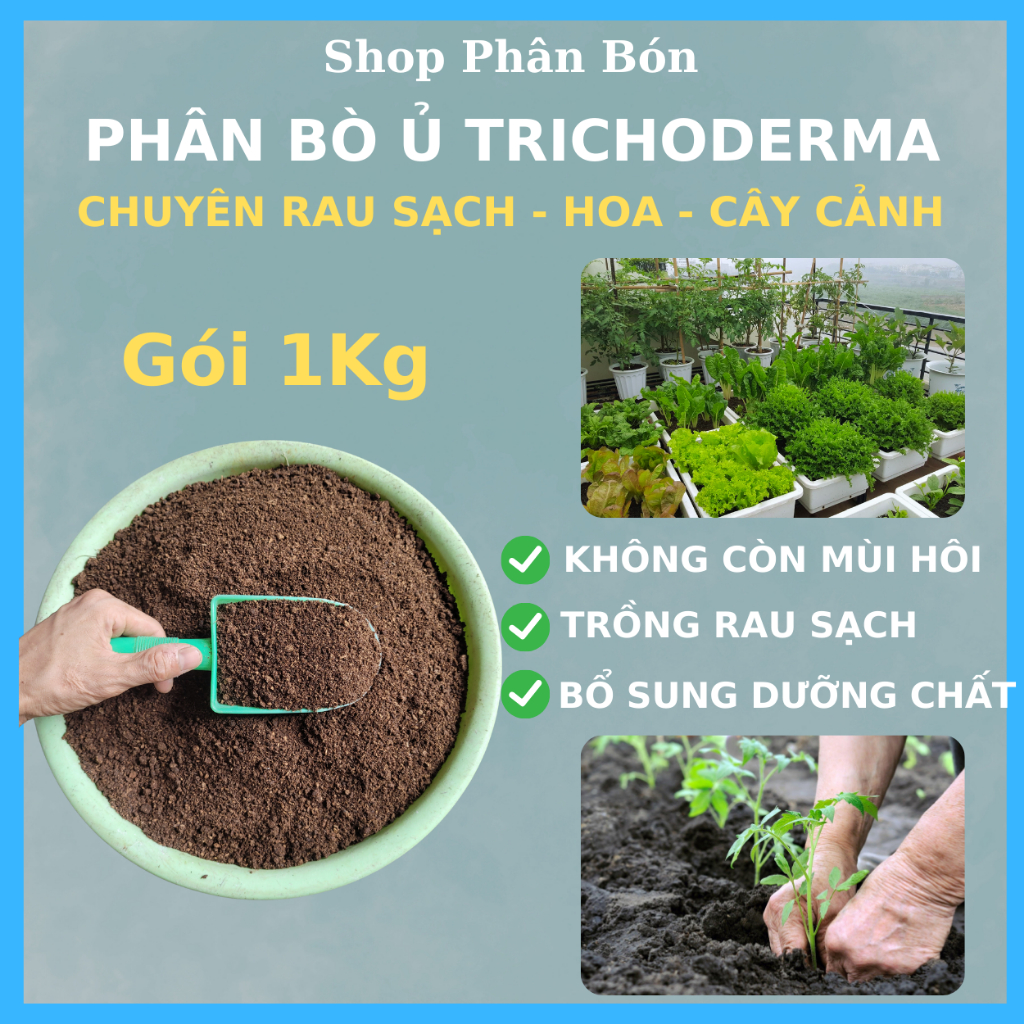 Phân Bò Hoai Mục đã sử lý ủ trichoderma 1KG