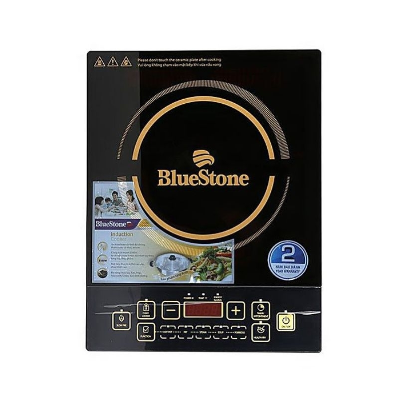 Bo mạch bếp từ bluestone icb 6616