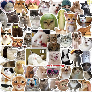  Miếng dán Sticker mèo meme HÀI HƯỚC emoji DIY hình dán graffiti mèo cute trang trí máy tính nhãn dán mũ bảo hiểm tem dán 