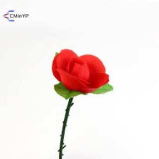 ĐẠO CỤ ẢO THUẬT HOA HỒNG GẬP