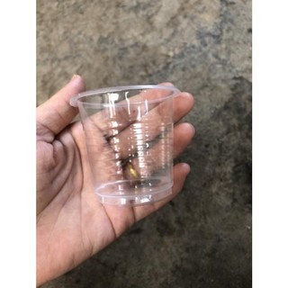 ly nhựa 140 ml ( 1 cây 50 cái )