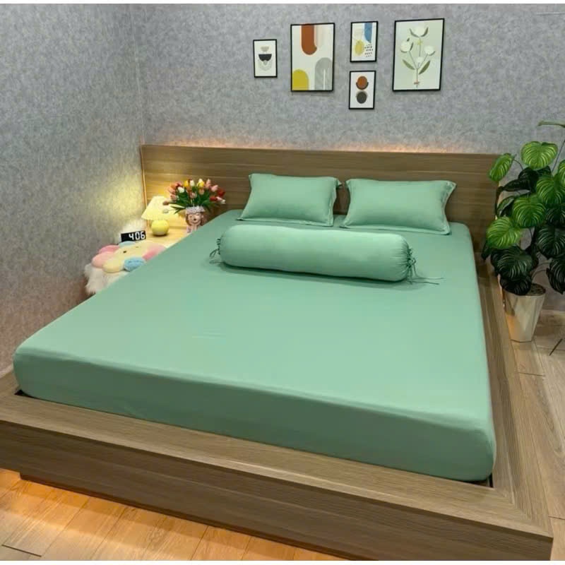 Bộ ga giường thun lạnh cao cấp 4 món thấm hút tốt, nhiều kích thước