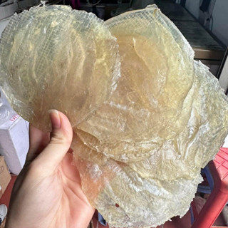 Cá Bò, cá Bóng Loại Ngon Quảng Ninh (TẶNG KHÔ GÀ), Cực ngon,size 16 con trên 1kg