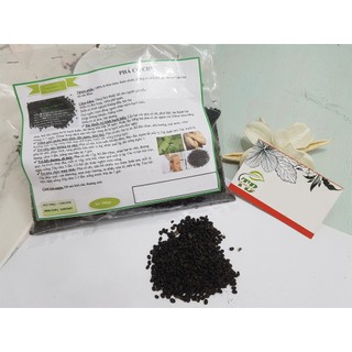 Phá Cố Chỉ 500gr  - Cây Thuốc Nam Thanh Bình