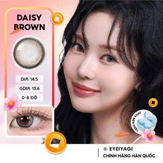Kính áp tròng EYEIYAGI màu nâu pha xám giãn tròng Daisy Brown DIA 14.5mm lens cận 3 tháng có lệch độ (0-8)
