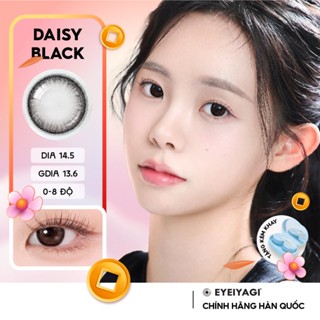 Kính áp tròng EYEIYAGI màu đen giãn tròng Daisy Black lens cận 3 tháng DIA 14.5mm có lệch độ (0-8)