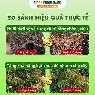 [Bio36 Mua 5 Tặng 2] Bio 36 Kích Rễ Mạnh – Đẩy Đọt Nhanh - Phục Hồi Cây Trồng