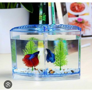Bể cá tròn mini