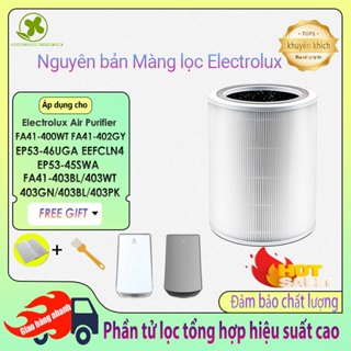  Người bán địa phương Electrolux FA41-400WT, FA41-402GY. Màng lọc cho máy lọc không khí Electrolux