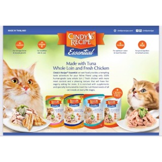 Pate Cindy gói 70gr cho mèo con bầu trưởng thành thức ăn ướt Thái Lan