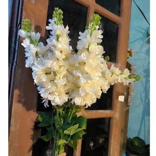 Hoa giả - phi yến 1 nhánh cành 80cm ( để Free ship CHAT ngay với người bán)