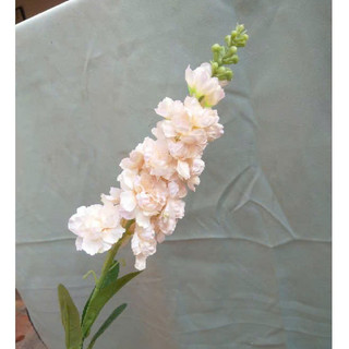 Hoa giả - phi yến 1 nhánh cành 80cm ( để Free ship CHAT ngay với người bán)