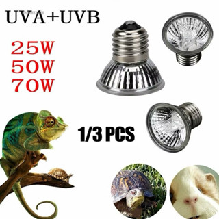  Máy sưởi UVA + Đèn UVB Tia UVA UVB 3.0 220-240V Bộ phát nhiệt Môi trường sống bò sát 