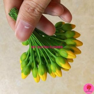 NỤ MAI GIẢ, NỤ MAI ĐẤT SÉT