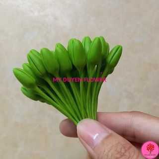 NỤ MAI GIẢ, NỤ MAI ĐẤT SÉT