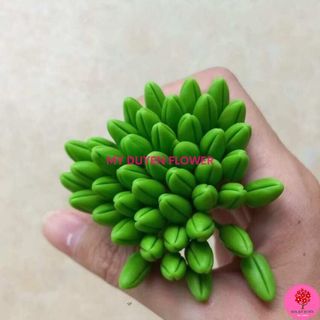 NỤ MAI GIẢ, NỤ MAI ĐẤT SÉT
