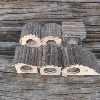 Nhà Gỗ Cho Hamster,Ốc Mượn Hồn,bò sát,cá.vv