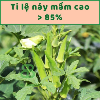 Hạt Giống Đậu Bắp Xanh 20Gr
