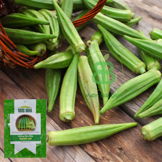 Hạt Giống Đậu Bắp Xanh 20Gr