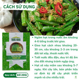 Hạt Giống Đậu Bắp Xanh 20Gr