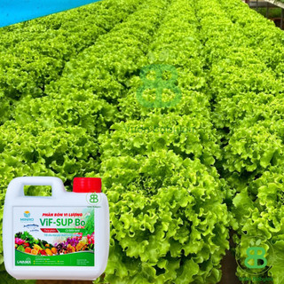 Phân Đạm Cá Lavamix 1000ml