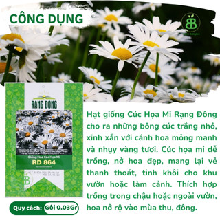 Hạt Giống Cúc Họa Mi RD 864 Rạng Đông, Dễ Trồng, Hoa đều đẹp, Hoa tết dễ trồng Vuonbabylon - Gói 0.03g