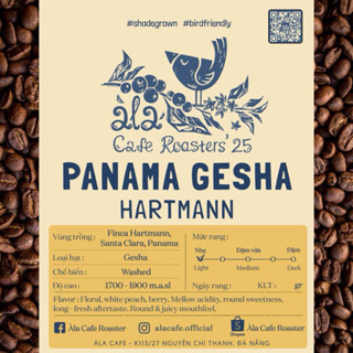 Cà phê Specialty Panama Gesha Finca Hartmann 100gr rang Light