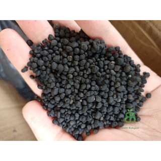 Phân Bón DAP 500G