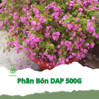 Phân Bón DAP 500G