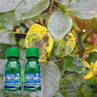 PHYSAN 20SL 100ML 2 CHAI