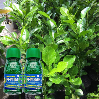 PHYSAN 20SL 100ML 2 CHAI