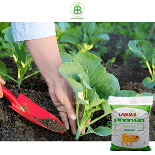  Phân Bò Lavamix Đã Qua Xử Lý, phân hữu cơ cải tạo đất, bỏ sung dinh dưỡng cho rau màu, hoa kiểng Vuonbabylon - 10dm3