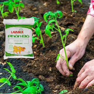  Phân Bò Lavamix Đã Qua Xử Lý, phân hữu cơ cải tạo đất, bỏ sung dinh dưỡng cho rau màu, hoa kiểng Vuonbabylon - 10dm3