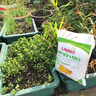  Phân Bò Lavamix Đã Qua Xử Lý, phân hữu cơ cải tạo đất, bỏ sung dinh dưỡng cho rau màu, hoa kiểng Vuonbabylon - 10dm3