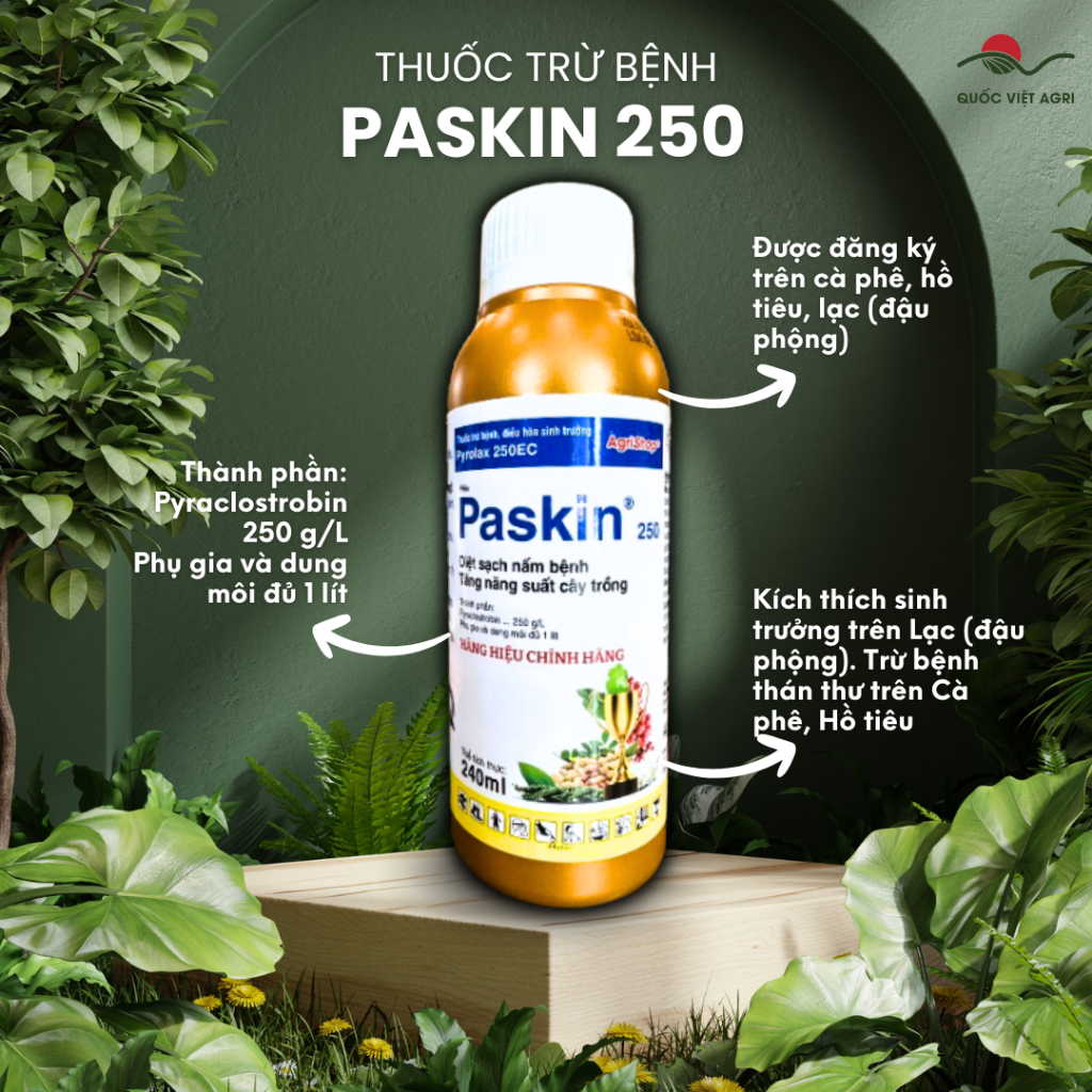 Thuốc trừ bệnh PASKIN 250 (chai 240ml) PYROLAX 250EC - Pyraclostrobin 250g/l Diệt sạch nấm bệnh