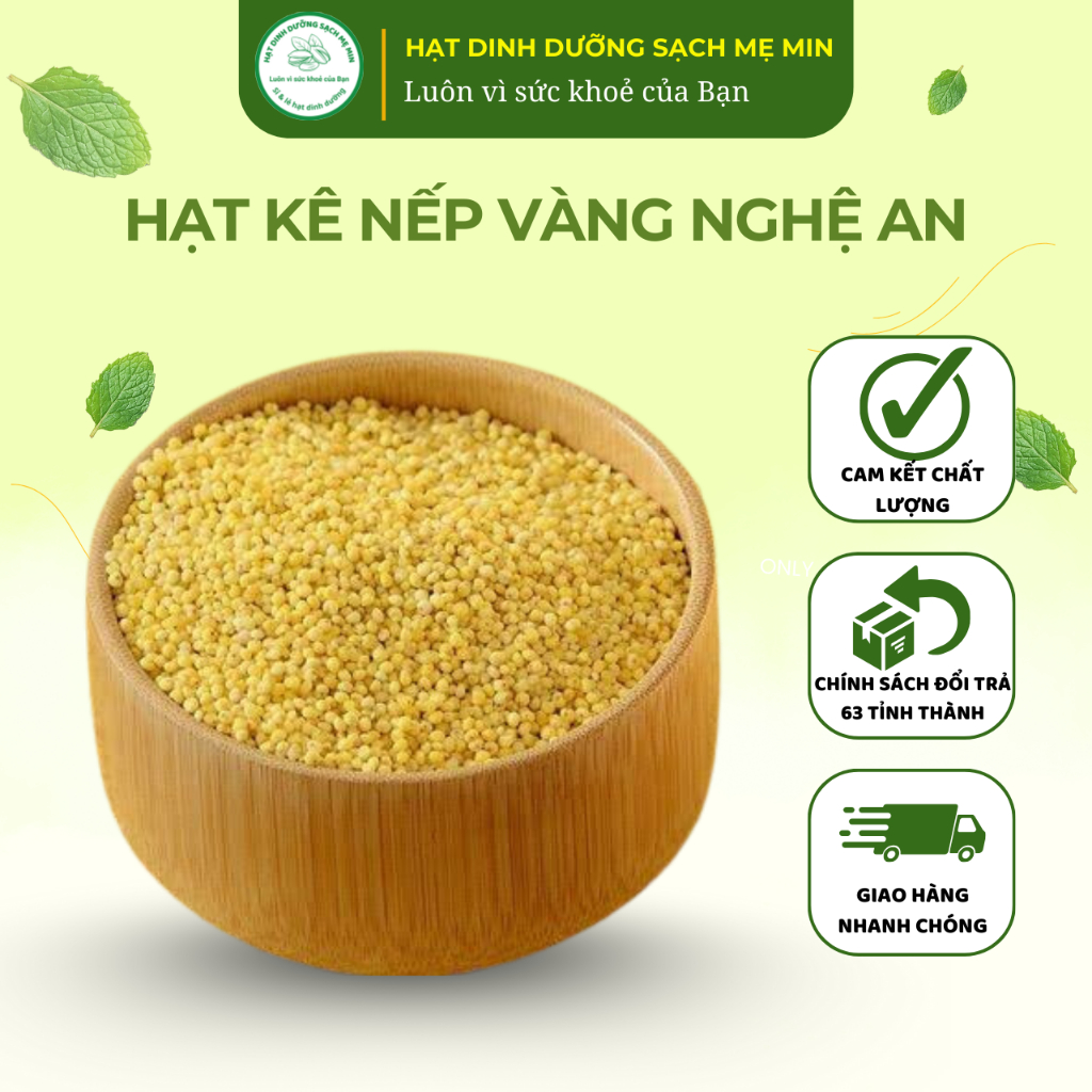 Hạt kê nếp vàng Nghệ An dẻo bùi, thơm ngon dùng nấu sữa hạt, cháo ăn dặm, chè kê