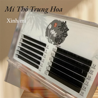 Mi Lông Thỏ Trung Hoa siều mềm, khay mix size, lẻ size. Độ cong J,C,CC