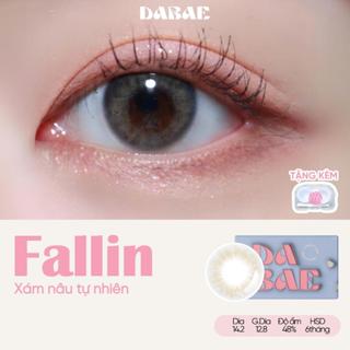 Fallin lens cận mắt kính áp tròng màu xám nâu tự nhiên không viền có độ Hàn Quốc hãng lens dabae