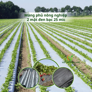  Màng phủ nông nghiệp 2 mặt đen bạc 25 mic nhựa PE nguyên sinh chống UV. giữ độ ẩm cho đất 