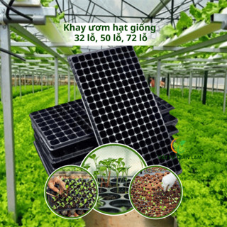  Combo 5 khay ươm hạt giống 32 lỗ 50 lỗ 72   105,128,200 lỗ  nhựa PET bền dẻo chắc chắn tiện lợi 