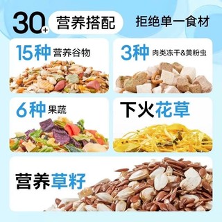 Thức Ăn Hamster Orchid Cao Cấp Thất Bảo Dòng Hạt Lớn Bổ Sung Vitamin/Đạm/Protein Mỗi Ngày