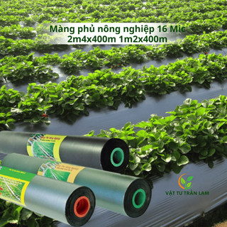  Màng phủ nông nghiệp 16 Mic kích thước 2m4x400m 1m2x400m bằng nhựa PE bảo quản nhiệt giữ ẩm tốt cho cây trồng 