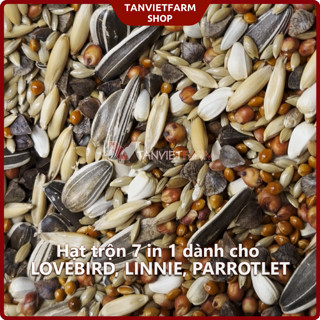  1 Kg Hạt trộn 7 in 1   7 loại hạt   Hạt đẹp trộn sẵn cho LOVEBIRD LINNIE PARROTLET 