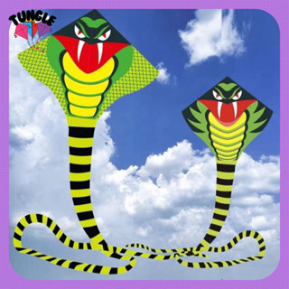 Diều rắn siêu dài, diều rắn hỗ mang xanh đuôi dài 9 - 45m dễ bay dễ thả cho trẻ em và người lớn