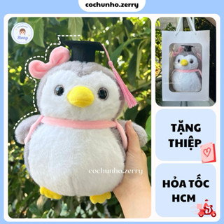 Gấu bông chim cánh cụt tốt nghiệp cao 25cm gấu bông cử nhân quà tặng TN