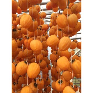 Hồng treo gió Đà Lạt